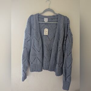 Blue Cardigan